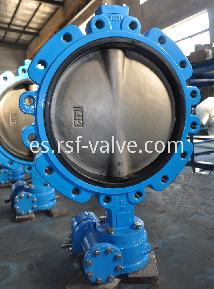 Concentric Lug Type Butterfly Valve 2